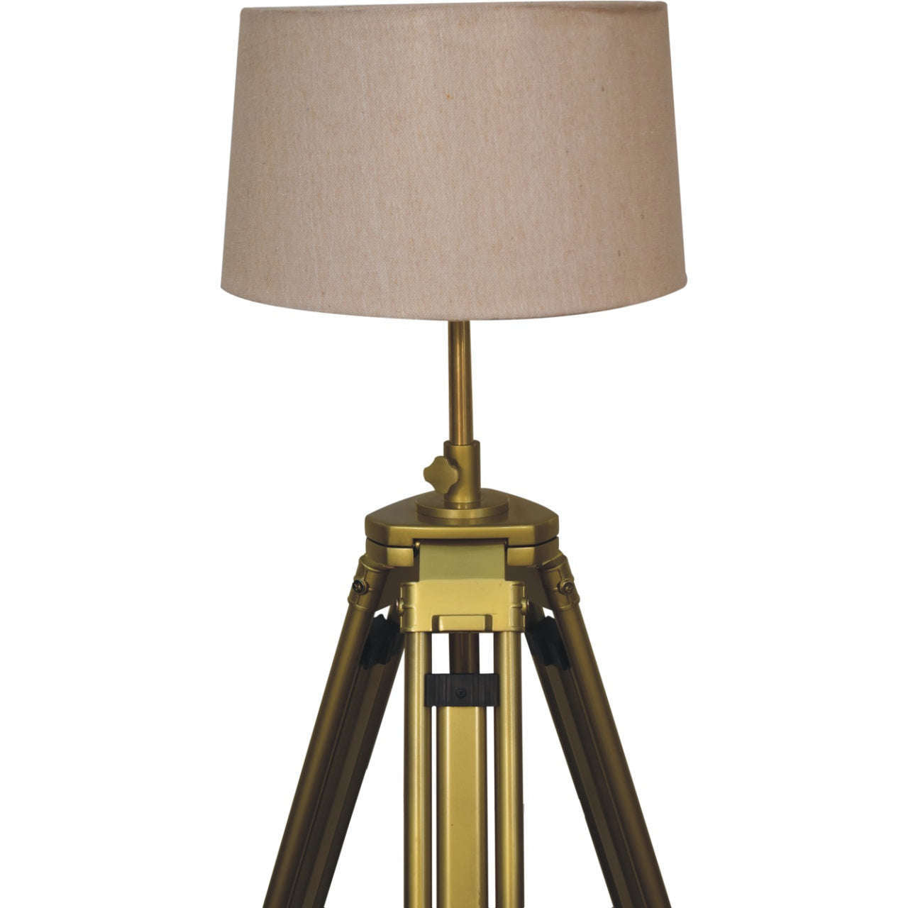 Ashpinoke:Brass Plated Floor Lamp-Lighting-Artisan